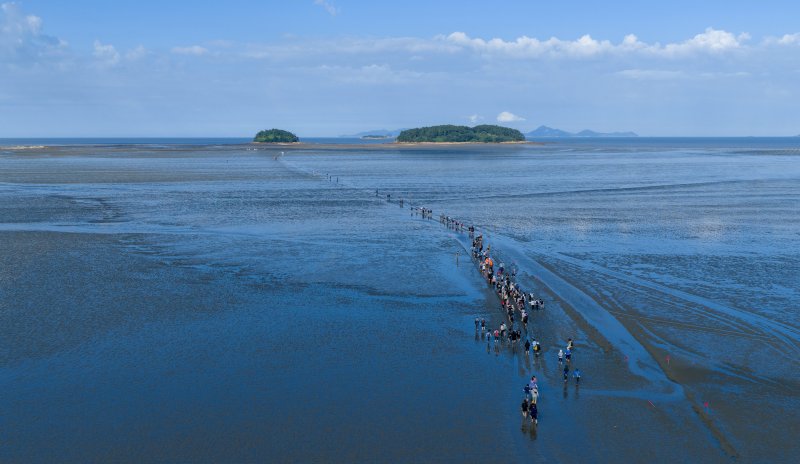 [고창=뉴시스] 철새 탐조대회인 '고창갯벌 빅버드레이스' 참가자 행렬. *재판매 및 DB 금지