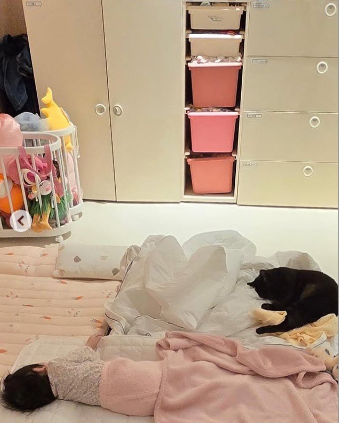 [서울=뉴시스] 박수홍 딸과 반려묘 다홍이. (사진=박수홍 인스타그램 캡처) 2025.12.08. photo@newsis.com *재판매 및 DB 금지