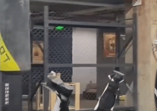 펑파이 신문 갈무리