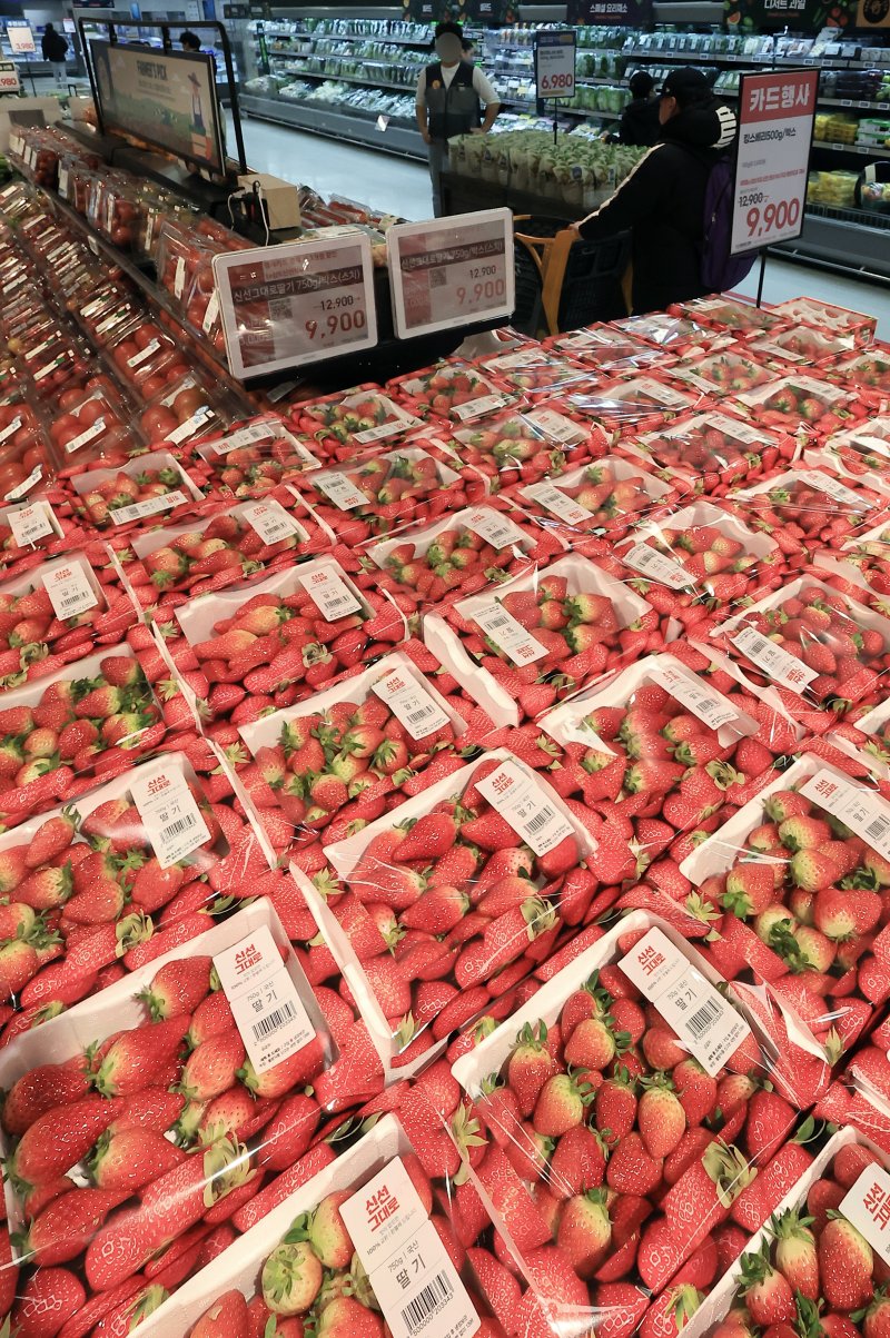 20일 오전 서울 시내 대형마트에 딸기가 진열되어 있다. 한국은행에 따르면 올해 1월 생산자물가지수는 전월 대비 0.6% 상승했으며 생산자물가 상승률이 높았던 품목은 농림수산품, 그중에서도 과일을 비롯한 농산물로 딸기(전월 대비 57.7%), 감귤(26.5%) 등의 상승률이 높았다. 2025.2.20/뉴스1 ⓒ News1 박정호 기자
