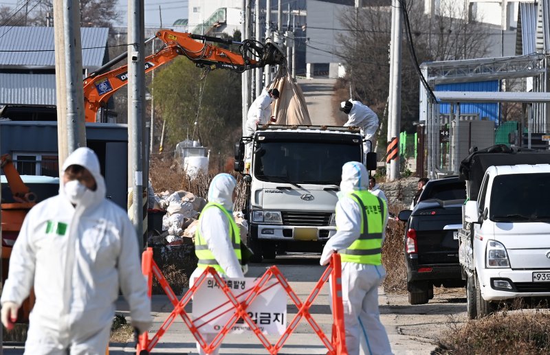 [평택=뉴시스] 김종택기자 = 사진은 H5N1형 고병원성 조류인플루엔자(AI)가 발생한 경기 평택시 한 산란계 농장에서 지난 2일 관계자들이 살처분 작업을 하고 있는 모습. 2025.12.02. jtk@newsis.com