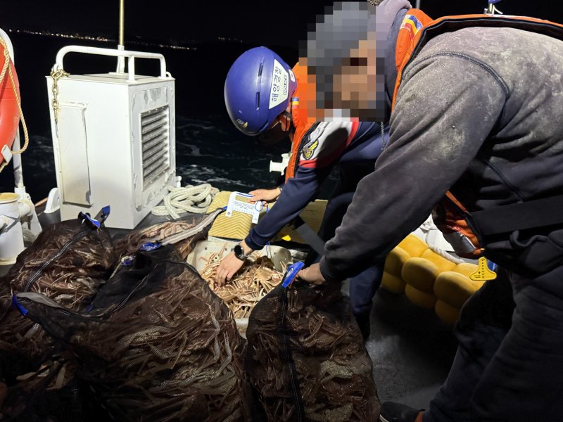 [포항=뉴시스] 안병철 기자 = 지난 7일 오후 6시5분께 경북 포항시 북구 한 항구에서 체장미달 대게 647마리를 불법으로 포획하고 은닉·판매한 70대 선장이 해경에 검거됐다.(사진=포항해양경찰서 제공) 2025.12.08. photo@newsis.com