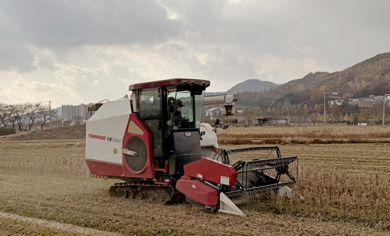 [임실=뉴시스] 임실군의 논콩 수확 대행 작업이 이뤄지고 있다. *재판매 및 DB 금지