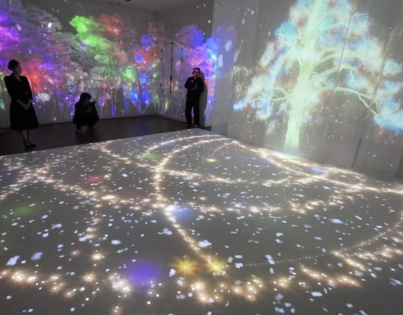 [서울=뉴시스]8일 서울 중구 덕수궁 돈덕전 '쿠키런: 사라진 국가유산을 찾아서' 특별전에서 언론에 공개된 600년 수령의 '정이품송' 미디어아트. 2025.12.08. odong85@newsis.com