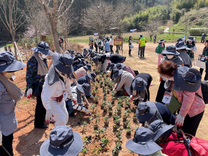 [통영=뉴시스] 신정철 기자= 통영시는 경상남도가 실시한 ‘2025년 도시숲 및 녹지공간 조성 시·군 평가’에서 자녀안심 그린숲과 가로수 조성·관리 및 경관 완성도 등 현장평가에서도 매우 우수한 평가를 받으며 최우수기관으로 선정됐다고 8일 밝혔다.사진은 제46회 재일·재경·재부도민회 향토기념식수 모습.(사진=통영시 제공).2025.12.08. photo@newsis.com *재판매 및 DB 금지