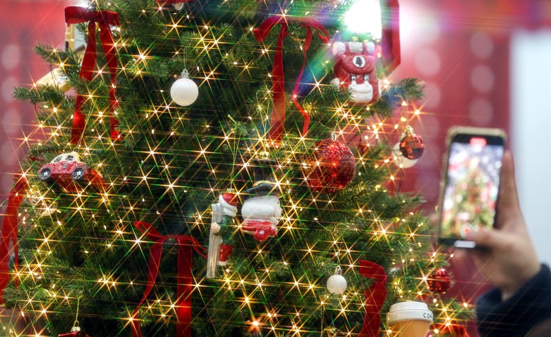 [대구=뉴시스] 이무열 기자 = 7일 대구 북구 엑스코에서 열린 ‘2025 대구 크리스마스 페어’를 찾은 한 시민이 크리스마스트리와 장식 소품을 살펴보고 있다. 2025.12.07. lmy@newsis.com