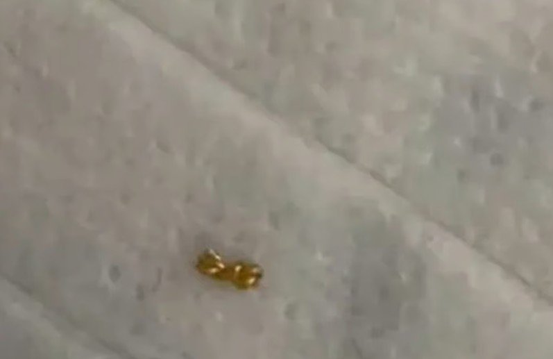 [뉴시스]소년의 부모가 되찾은 금목걸이의 일부. (사진 = QQ.com) *재판매 및 DB 금지