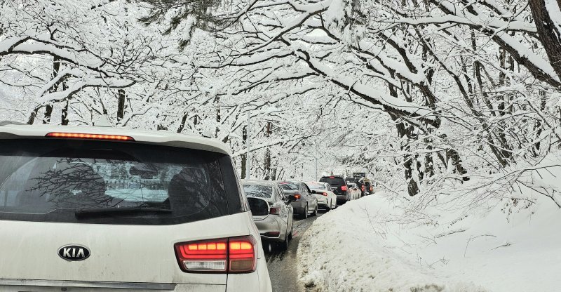 지난해 2월 강원 속초에 쏟아진 눈폭탄 .(속초시 제공, 재판매 및 DB 금지)