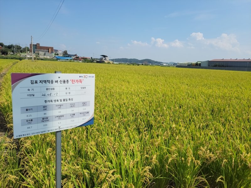 한가득 자료사진(경기 김포시 제공/뉴스1)