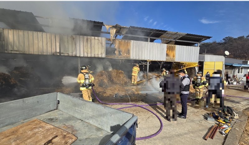[경주=뉴시스] 경북 경주시 서면 우사 화재 진화 현장. (사진=경북소방본부 제공) 2025.12.09. photo@newsis.com