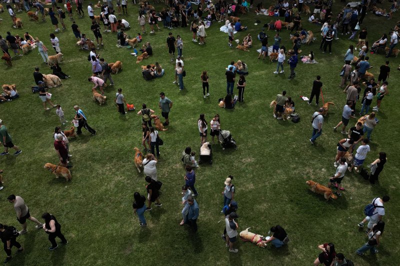 [부에노스아이레스=AP/뉴시스] 8일(현지 시간) 아르헨티나 부에노스아이레스 팔레르모 공원에서 열린 세계에서 가장 많은 골든 리트리버가 한자리에 모이는 세계 기록 도전 행사에 참가한 참가자들이 반려견과 산책하고 있다. 2025.12.09.