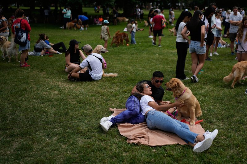 [부에노스아이레스=AP/뉴시스] 8일(현지 시간) 아르헨티나 부에노스아이레스 팔레르모 공원에서 열린 세계에서 가장 많은 골든 리트리버가 한자리에 모이는 세계 기록 도전 행사에 참가한 참가자들이 반려견과 즐거운 시간을 보내고 있다. 2025.12.09.