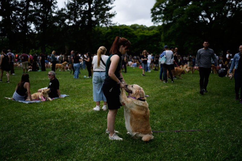 [부에노스아이레스=AP/뉴시스] 8일(현지 시간) 아르헨티나 부에노스아이레스 팔레르모 공원에서 열린 세계에서 가장 많은 골든 리트리버가 한자리에 모이는 세계 기록 도전 행사에 참가한 참가자들이 반려견과 즐거운 시간을 보내고 있다. 2025.12.09.