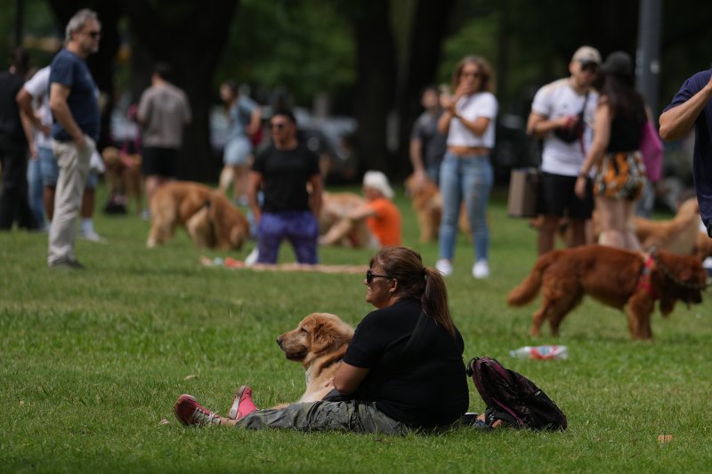 [부에노스아이레스=AP/뉴시스] 8일(현지 시간) 아르헨티나 부에노스아이레스 팔레르모 공원에서 열린 세계에서 가장 많은 골든 리트리버가 한자리에 모이는 세계 기록 도전 행사에 참가한 참가자들이 반려견과 즐거운 시간을 보내고 있다. 2025.12.09.