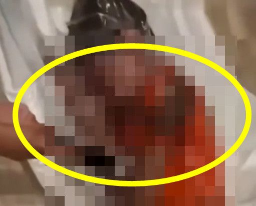 그깟 조회수가 뭐라고... 아들 진공포장 후 SNS에 올린 여성