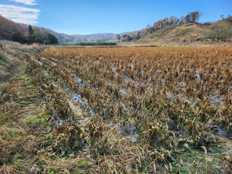 (출처=뉴시스/NEWSIS)