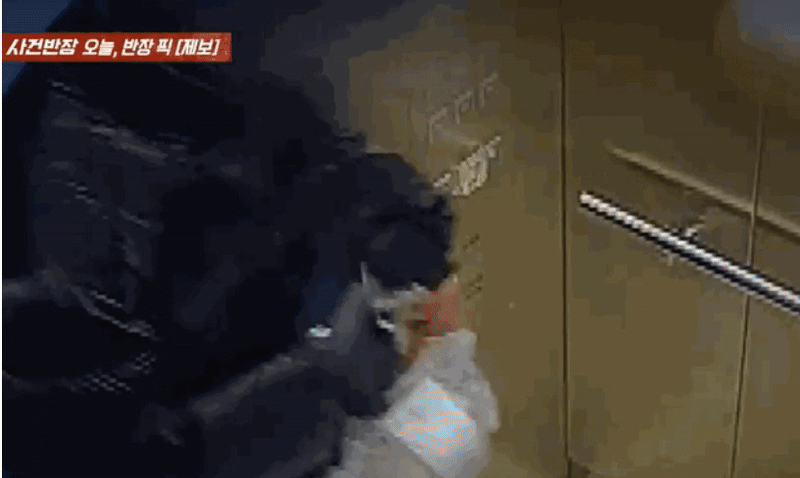/영상=JTBC '사건반장'