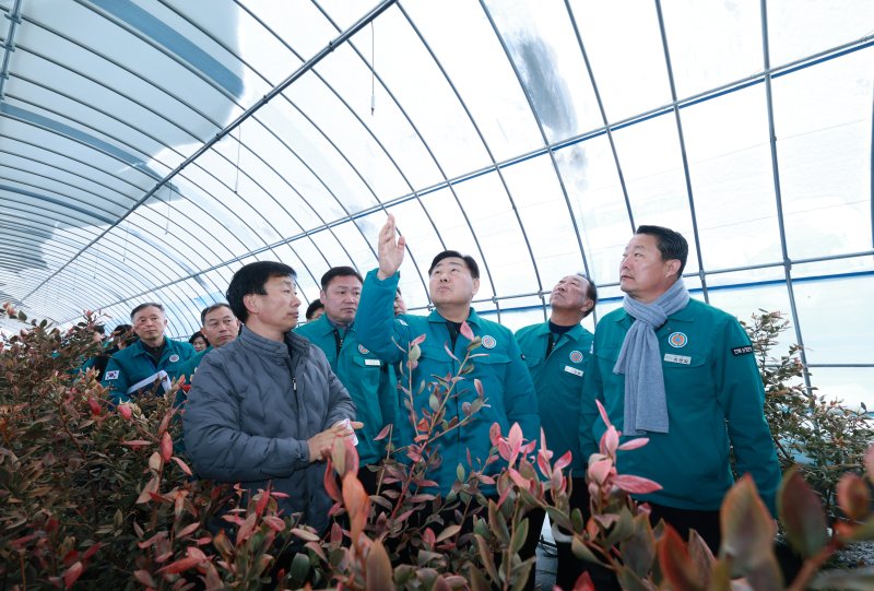 지난 겨울 김관영 전북지사와 최영일 순창군수가 순창의 한 비닐하우스를 찾아 적설 취약시설 점검을 하고 있다.(전북도 제공. 재판매 및 DB금지)/뉴스1
