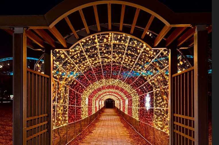 합강캠핑장에 조성된 야간조명 특화공간. (세종시설관리공단 제공. 재판매 및 DB 금지)