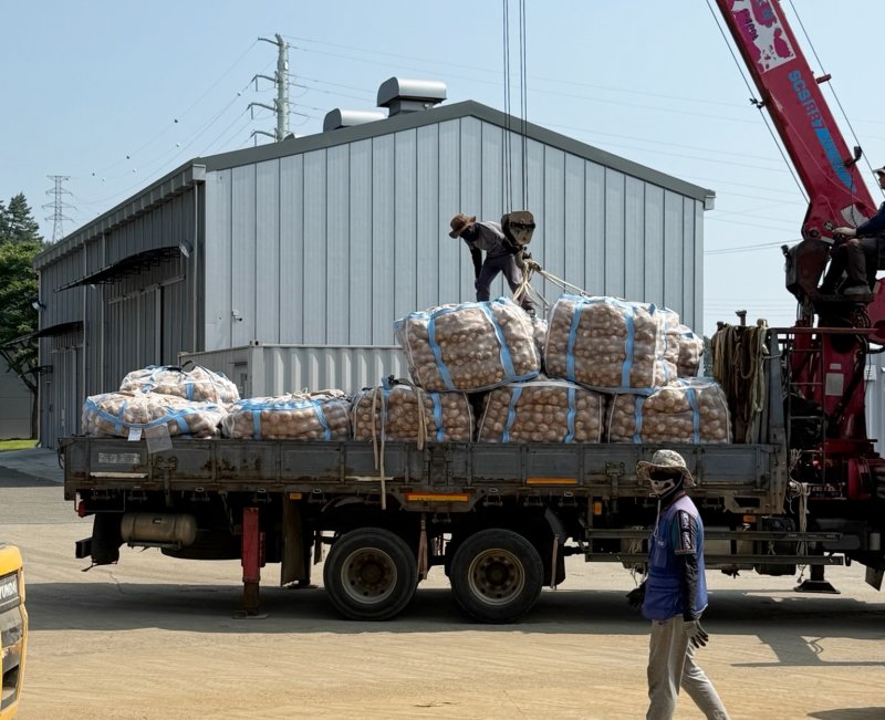 지역 농산물의 운송을 돕는 ‘수확 운송작업단 운영 지원 사업’ 추진 모습(태안군 제공. 재판매 및 DB금지)2025.12.9/뉴스1