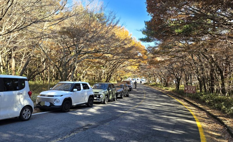 [제주=뉴시스] 임재영 기자 = 한라산국립공원 주차료를 내년 1월1일부터 인상하면서 도로변 주차에 대해서는 대체 교통수단, 버스 증차 등의 별다른 대책을 내놓지 않아 접근성에 문제가 발생할 것으로 보인다. 지난달 15일 단풍철을 맞아 영실탐방로 주차장 이외 도로변에 주차한 장면이다. 2025.12.09. ijy788@newsis.com