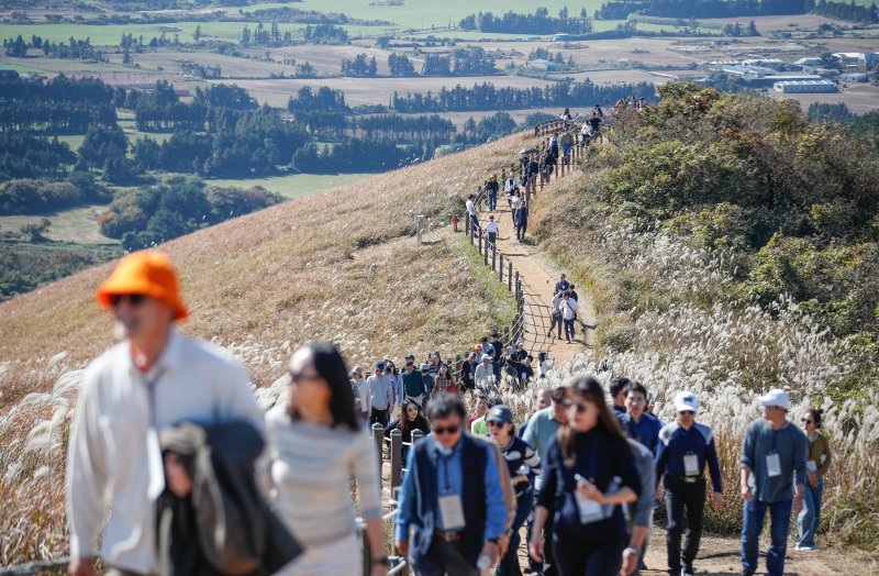 [제주=뉴시스] 우장호 기자 = 포근한 가을 날씨를 보인 16일 오후 제주시 애월읍 새별오름에서 관광객들이 억새를 감상하며 늦가을 정취를 만끽하고 있다.기상청에 따르면 17일부터 찬 대륙고기압의 영향으로 아침 기온이 영하권으로 떨어지는 등 큰 추위가 찾아올 것으로 전망된다. 2025.11.16. woo1223@newsis.com
