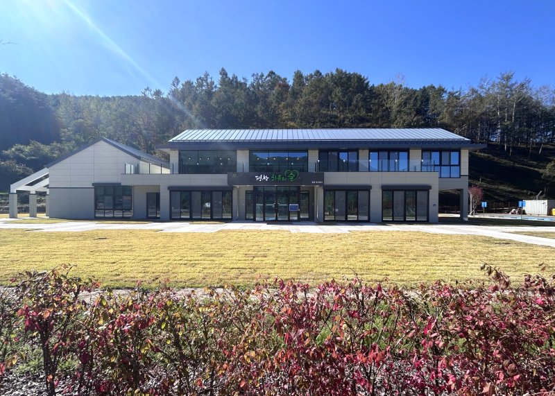 평창 치유의 숲. *재판매 및 DB 금지