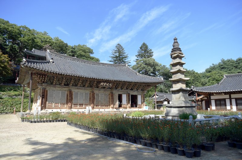 [공주=뉴시스] 공주 마곡사 오층석탑.(사진=공주시 제공) 2025.01.10. photo@newsis.com *재판매 및 DB 금지