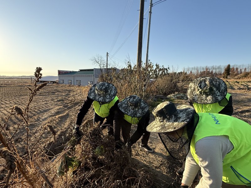 [전주=뉴시스]윤난슬 기자 = 전북농협은 김제 지역 농가를 찾아 '전국 영농부산물 일제 파쇄주간'(12월 1~15일)에 맞춰 영농부산물 파쇄 지원과 일손돕기 활동을 전개했다고 9일 밝혔다. (사진=전북농협 제공) photo@newsis.com