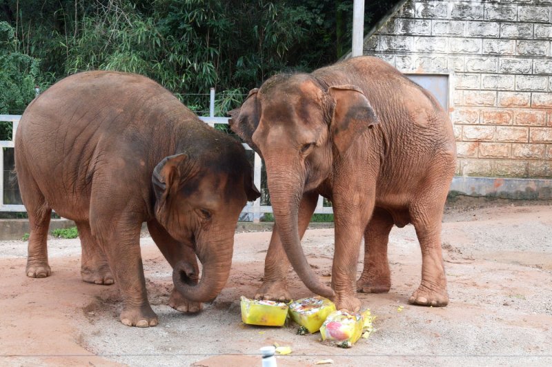 광주 우치공원 동물원.(광주시 제공. 재판매 및 DB 금지) 2025.8.7/뉴스1