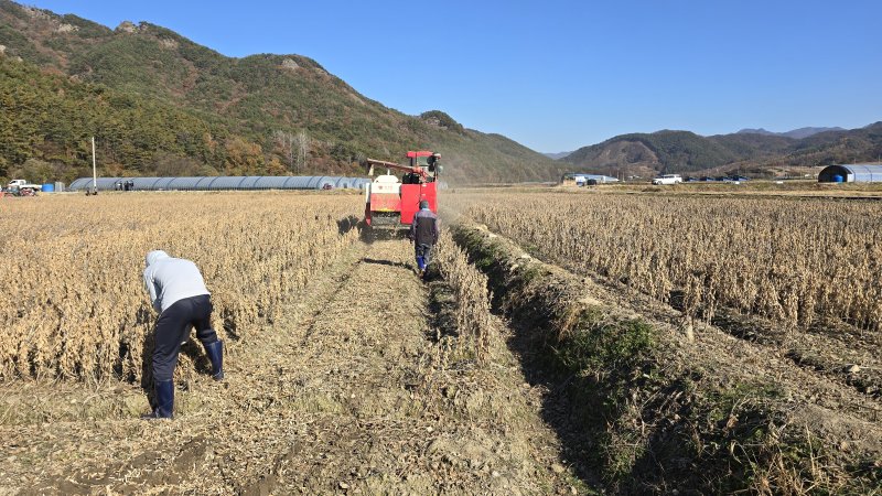 [세종=뉴시스] 농림축산식품부는 9일 전북 전주 농업과학도서관에서 열린 '제5회 국산콩 우수 생산단지 시상식'에서 서순창농협을 올해 최우수 생산단지로 선정했다고 밝혔다. 사진은 대회의 현장평가 사진. (사진 = 농식품부 제공) 2025.12.09. *재판매 및 DB 금지
