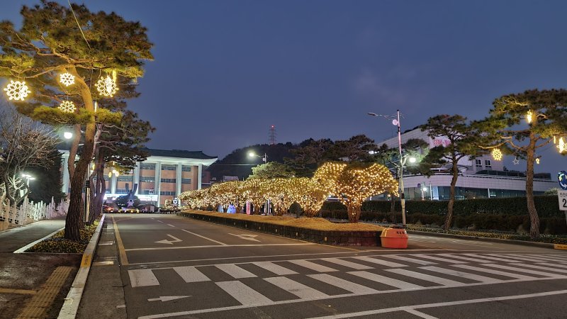 [김해=뉴시스]김해시청사 빛트리 꿈과 행복 연출. (사진=김해시 제공). 2025.12.09. photo@newsis.com