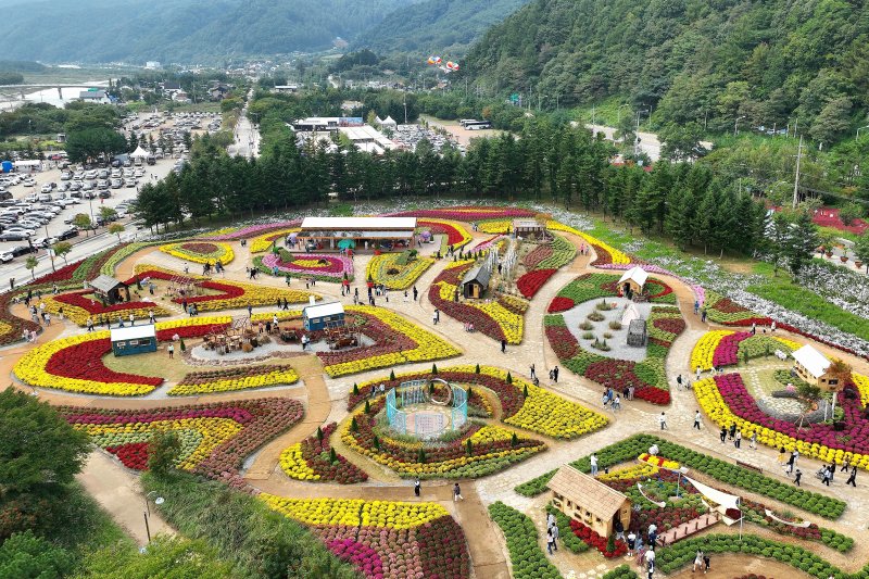 추석 연휴 첫날인 3일 강원 인제군 북면 용대리 일원에서 열린 가을꽃 축제장을 찾은 관광객들이 가을 정취를 만끽하고 있다. 지난달 27일 개막한 축제는 ‘인제에서 꽃길만 걷자’를 주제로 오는 19일까지 이어진다. (인제군 제공) 2025.10.3/뉴스1 ⓒ News1 이종재 기자
