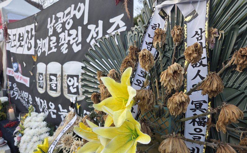 [전주=뉴시스] 강경호 기자 = 자임유가족협의회의 촛불집회가 진행된 9일 전북 전주시 전북특별자치도청 앞 인도에 유족들이 항의성으로 비치한 조화가 시간이 오래 지나 시들어 있다. 2025.12.09. lukekang@newsis.com