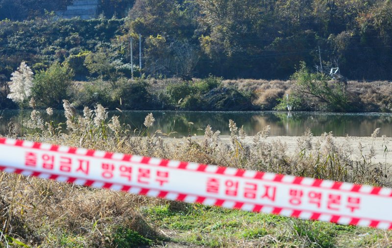 [청주=뉴시스] 서주영 기자 = 사진은 지난달 14일 충북 청주시 청원구 오창읍의 병천천에서 포획된 야생 조류에서 고병원성 조류인플루엔자(AI)가 검출돼 방역당국이 현장을 통제하고 있는 모습. 2025.11.14. juyeong@newsis.com