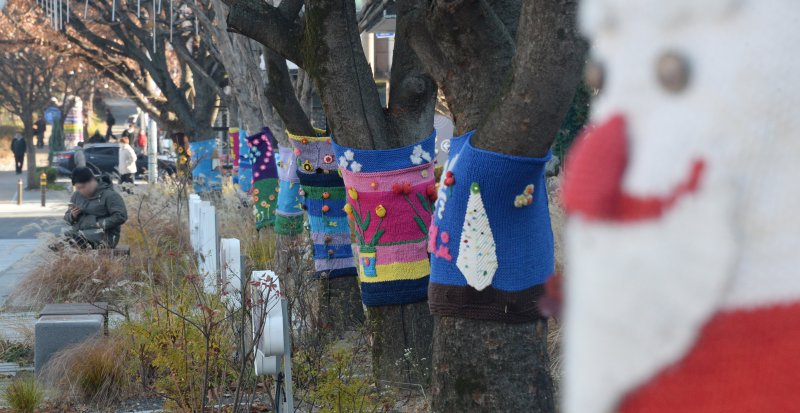[전주=뉴시스] 김얼 기자 = 전북 전주시 덕진구 백제대로 가로수에 트리허그(잠복소)가 설치되어 있다. 2025.12.08. pmkeul@newsis.com