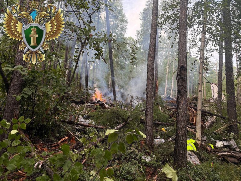 [ 모스크바=신화/뉴시스] 러시아 군용 수송기 An-22기 한 대가 12월 9일 정비점검 후 시험비행을 하는 과정에서 추락해 탑승자 7명이 모두 숨졌다고 국방부가 발표했다. 사진은 올 해 7월 24일 러시아 검찰 극동본부가 발표한 아무르 지방 삼림지대에서 추락한 하바로프스크- 틴다 행 여객기 An-24의 사고현장 사진. 이 사고로 탑승자 43명이 모두 숨졌다. 2025.12.10.