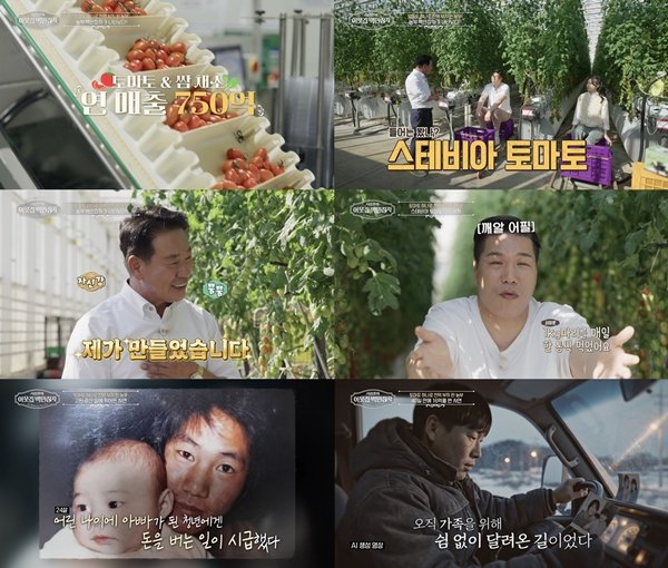 서장훈 "스테비아 토마토 하루에 1㎏씩 먹어"…키 성장 비결?