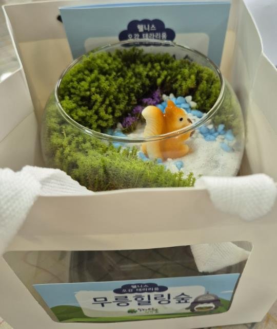 [동해=뉴시스] 강원 동해시가 이끼를 활용한 신규 체험프로그램인 무릉힐링숲 만들기 웰니스 오감테라리움 운영 모습. (사진=동해시 제공) 2025.12.10. photo@newsis.com *재판매 및 DB 금지