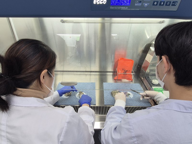 노로바이러스 검사 자료사진. (광주광역시 제공. 재판매 및 DB 금지) 2025.12.10/뉴스1