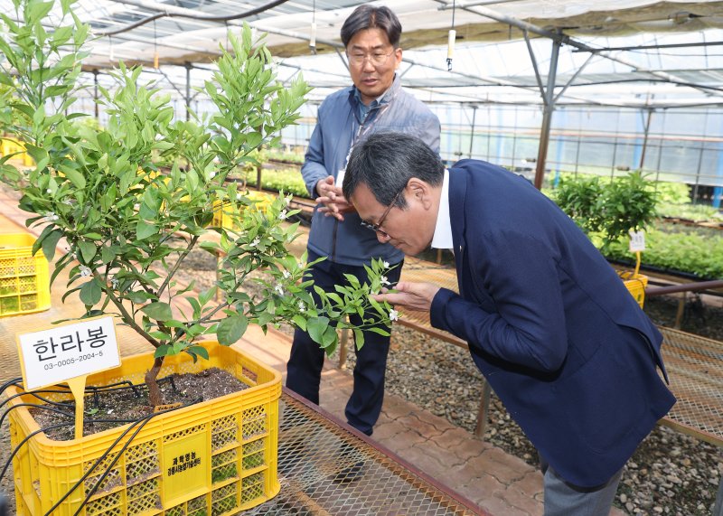 강릉시, 과학영농·유망작목으로 미래형 농업 전환 가속화.(강릉시 제공, 재판매 및 DB 금지) 2025.12.10/뉴스1