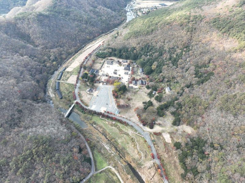 전남도는 국비 28억원을 확보해 천년사찰 장흥 보림사 일원 비자림<사진> 복원에 나선다. 전남도 제공