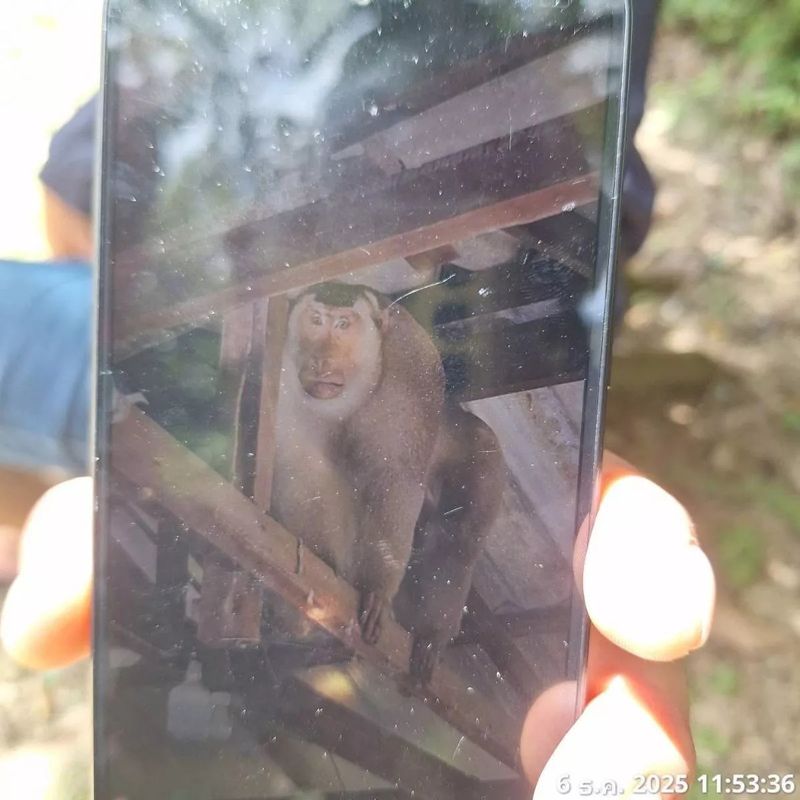 /사진=더 미러 캡처