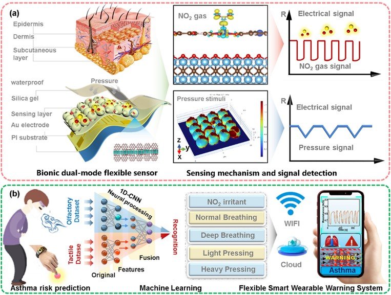 [서울=뉴시스] 인공 표피를 기반으로 천식을 조기 진단할 수 있는 스마트 헬스케어 플랫폼 이미지. (사진=고려대 제공) 2025.12.10. photo@newsis.com *재판매 및 DB 금지