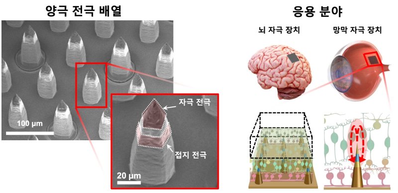 양극 전극 배열의 전자현미경(SEM) 사진과 적용 가능 분야(KIST 김채성 학생연구원 제공) /뉴스1