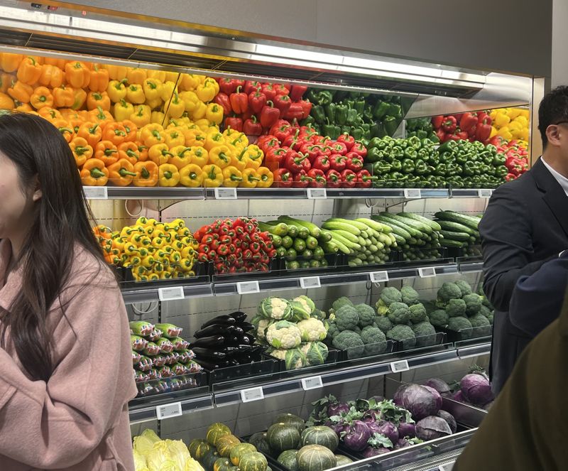 10일 서울 강남 하우스오브신세계 청담 식품관에 채소가 색깔별로 진열돼 있다. 사진=김현지 기자