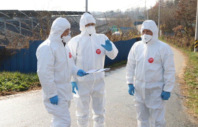 영암군 고병원성 AI 방역 총력(영암군 제공. 재판매 및 DB금지) /뉴스1