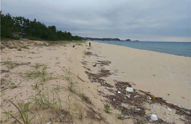 강원 양양군 남애항 현장조사 모습. (한국어촌어항공단 제공) *재판매 및 DB 금지