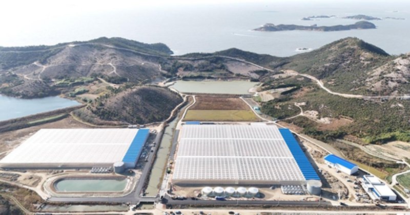 농어촌공사 전남본부가 조성한 신안군 임대형 스마트팜 단지 전경. (사진=농어촌공사 전남본부 제공) photo@newsis.com *재판매 및 DB 금지