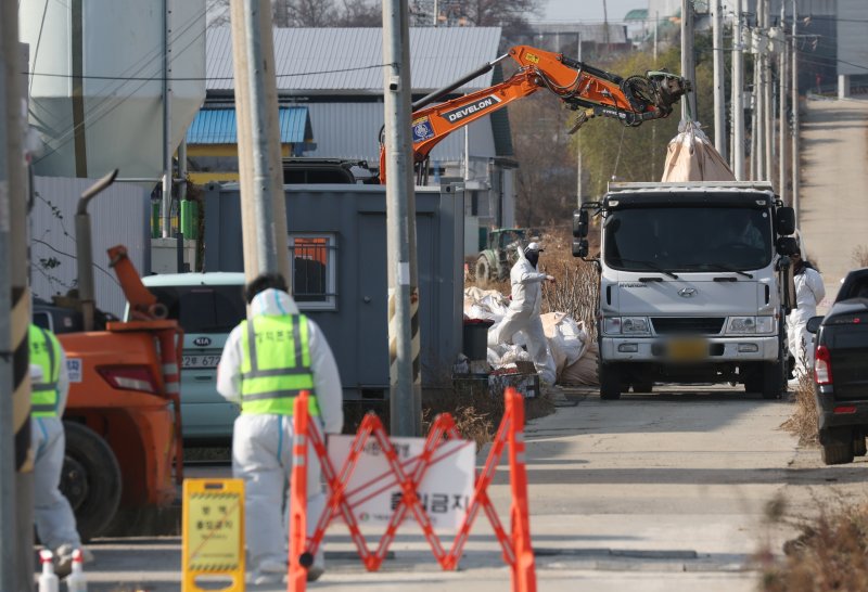 2일 경기 평택시 평택시의 한 산란계 농장에서 H5형 조류인플루엔자 항원이 확인돼 방역당국이 통제 및 방역 작업을 하고 있다. 중앙사고수습본부는 조류인플루엔자 확산 방지를 위해 경기도 전역과 평택시와 인접한 충남 천안·아산시의 산란계 관련 농장, 축산시설, 축산차량 등에 대해 이날 0시부터 24시간 동안 일시 이동중지 명령을 내렸다. 2025.12.2/뉴스1 ⓒ News1 김영운 기자
